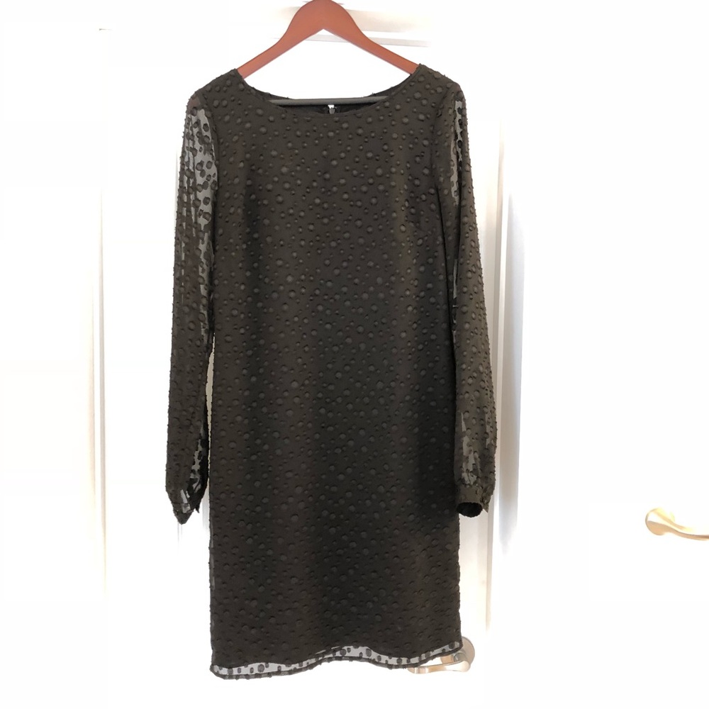 Ann Taylor Dress